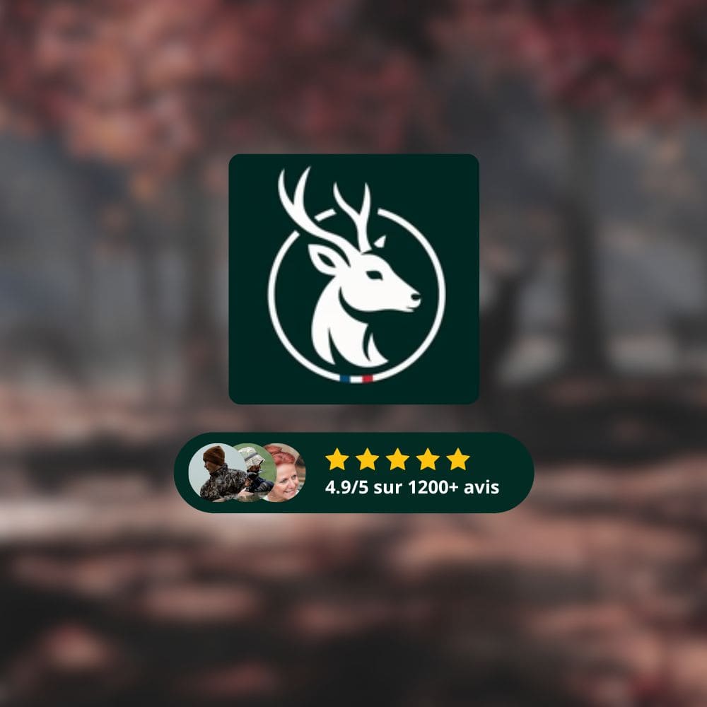 Jumelles Vision Nocturne Serre-Tête 4K, Zoom 8X, 300m, 4 modes de vision