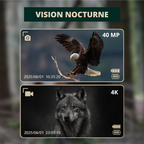 Jumelles Vision Nocturne HD, Zoom 12X & Batterie longue durée