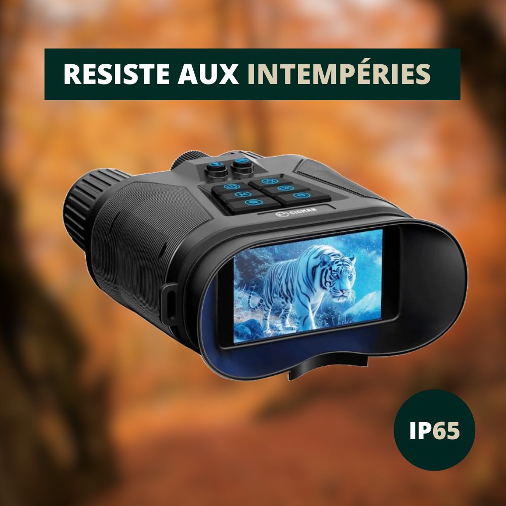 Jumelles Vision Nocturne 4K, Zoom 8X & Batterie Longue Durée, Waterproof