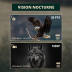 Jumelles vision nocturne HD avec écran intégré