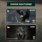 Jumelles vision nocturne HD avec écran intégré - Optique Sauvage